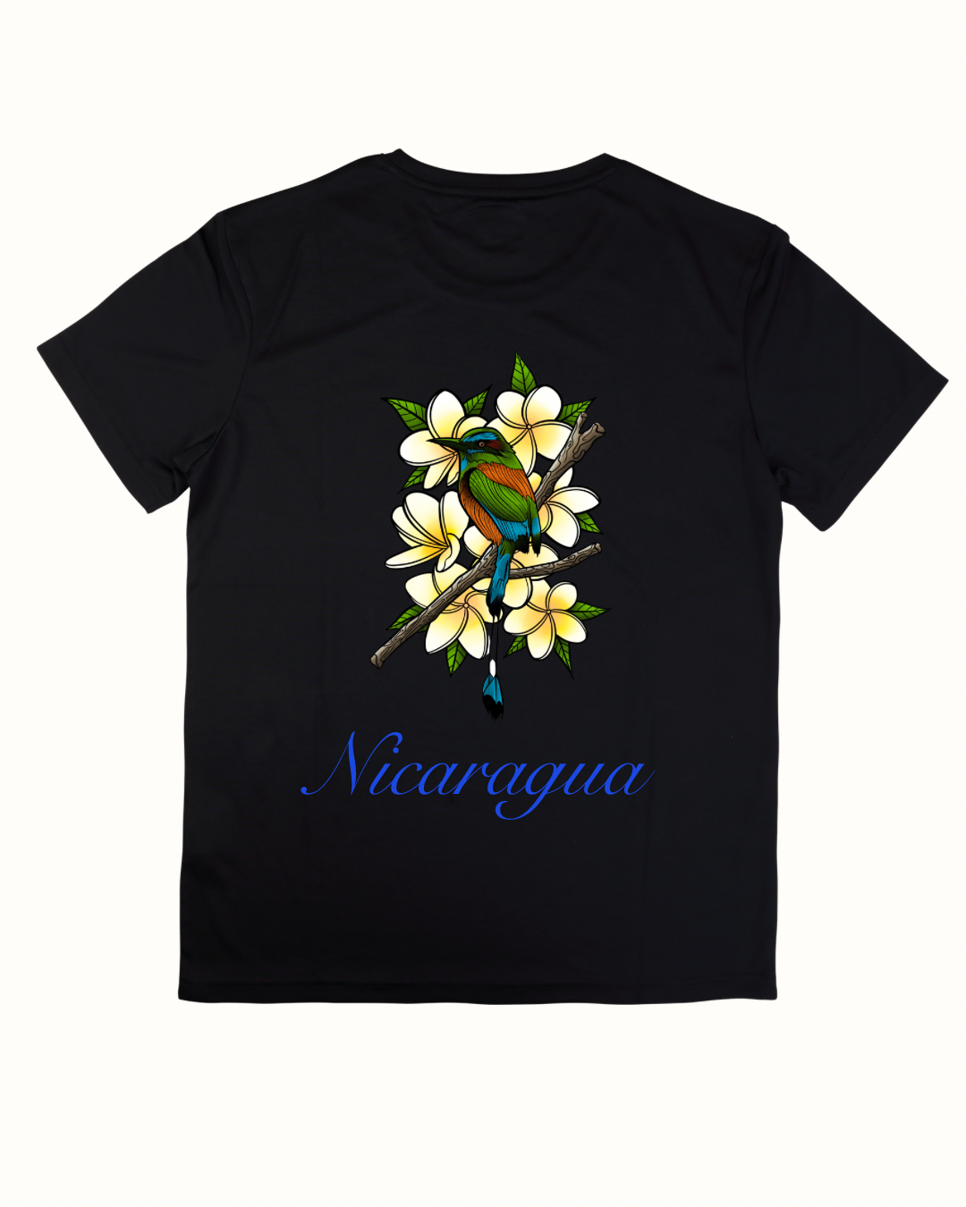 Nicaraguan Heritage Design 2