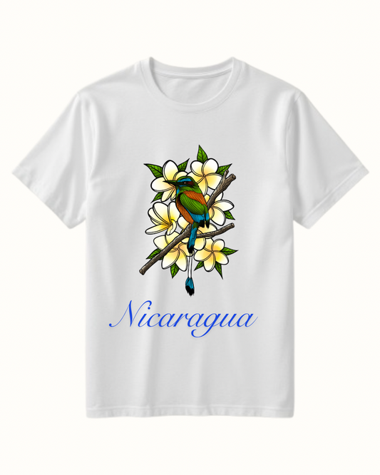 Nicaraguan Heritage Design 2