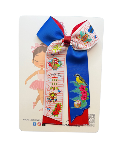 Puerto Rican Cheer Bow Style