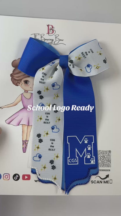 Custom School Design